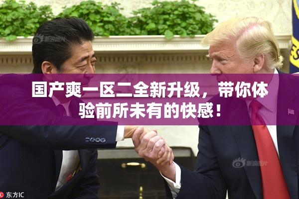 国产爽一区二全新升级，带你体验前所未有的快感！