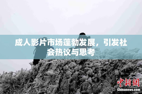 成人影片市场蓬勃发展，引发社会热议与思考