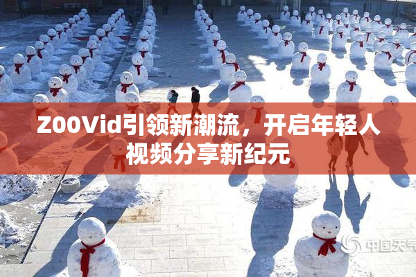 Z00Vid引领新潮流，开启年轻人视频分享新纪元