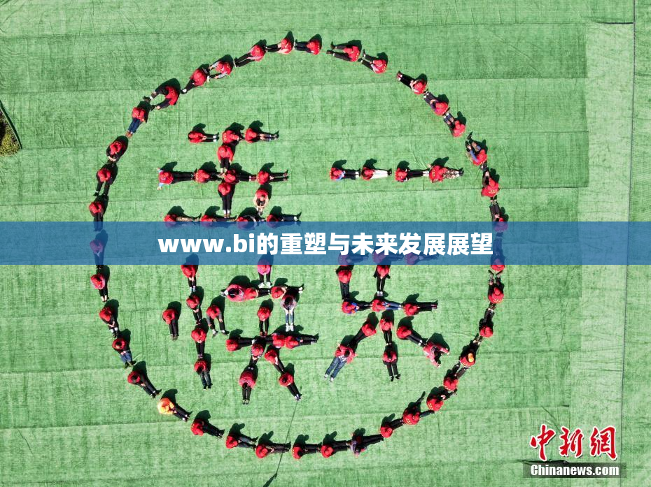 www.bi的重塑与未来发展展望