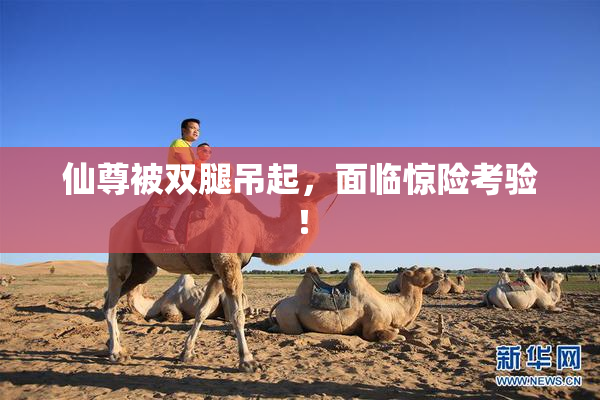 仙尊被双腿吊起，面临惊险考验！