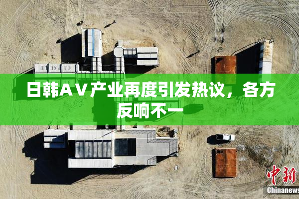 日韩AⅤ产业再度引发热议，各方反响不一