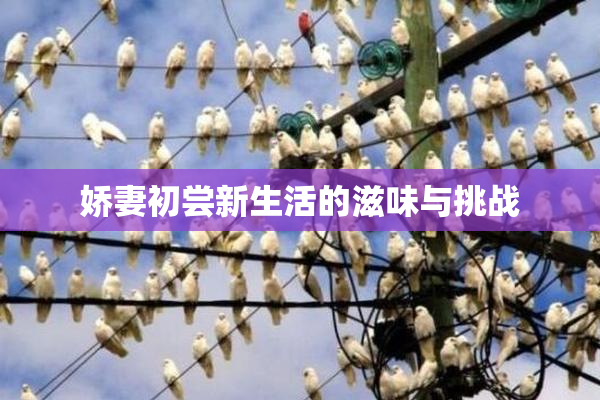 娇妻初尝新生活的滋味与挑战