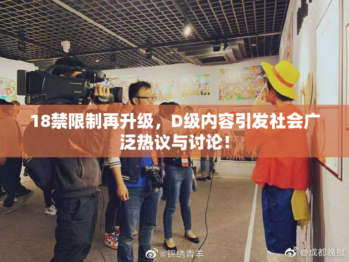 18禁限制再升级，D级内容引发社会广泛热议与讨论！