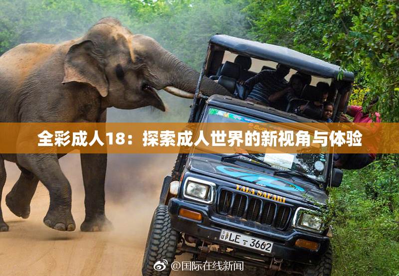 全彩成人18：探索成人世界的新视角与体验