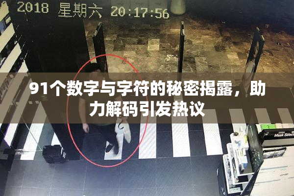 91个数字与字符的秘密揭露，助力解码引发热议