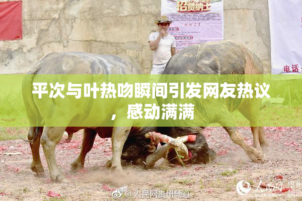 平次与叶热吻瞬间引发网友热议，感动满满