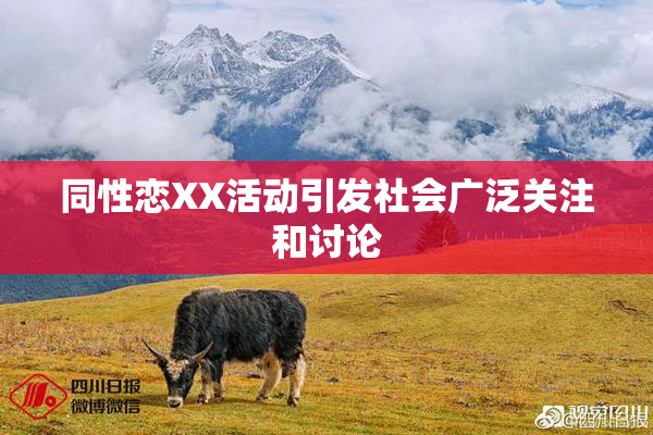 同性恋XX活动引发社会广泛关注和讨论