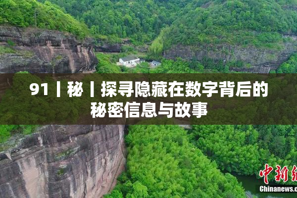91丨秘丨探寻隐藏在数字背后的秘密信息与故事