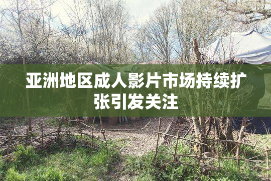 亚洲地区成人影片市场持续扩张引发关注