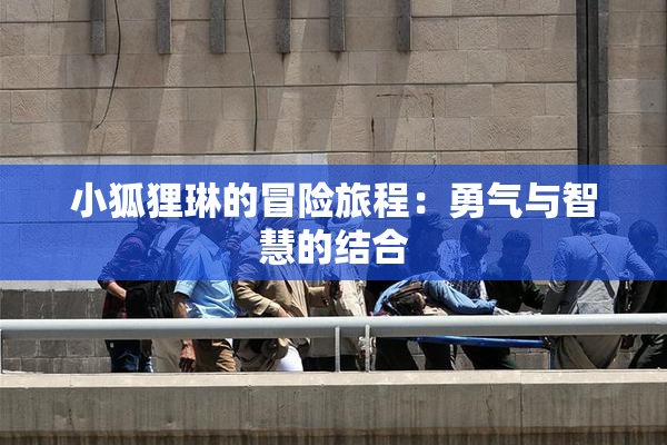 小狐狸琳的冒险旅程：勇气与智慧的结合