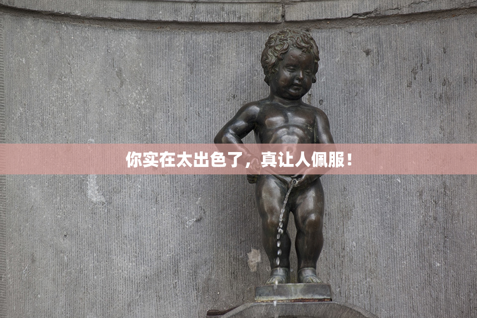 你实在太出色了，真让人佩服！