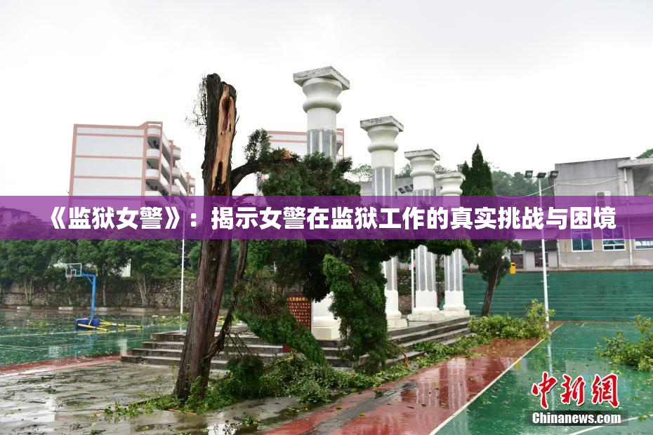 《监狱女警》：揭示女警在监狱工作的真实挑战与困境