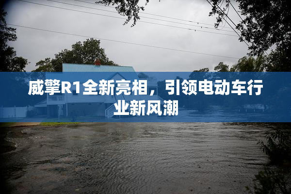 威擎R1全新亮相，引领电动车行业新风潮