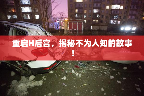 重启H后宫，揭秘不为人知的故事！