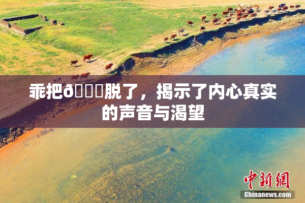 乖把👙脱了，揭示了内心真实的声音与渴望