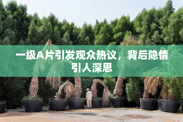 一级A片引发观众热议，背后隐情引人深思