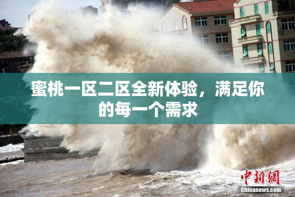 蜜桃一区二区全新体验，满足你的每一个需求