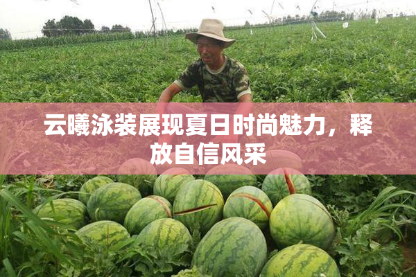 云曦泳装展现夏日时尚魅力，释放自信风采