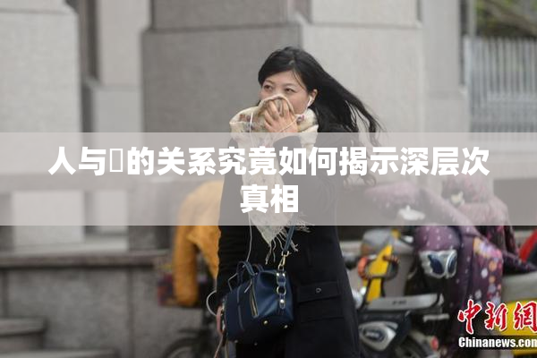 人与嘼的关系究竟如何揭示深层次真相
