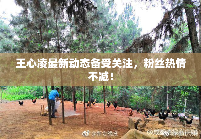 王心凌最新动态备受关注，粉丝热情不减！