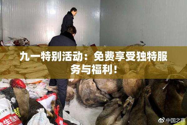 九一特别活动：免费享受独特服务与福利！