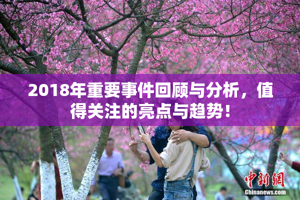2018年重要事件回顾与分析，值得关注的亮点与趋势！