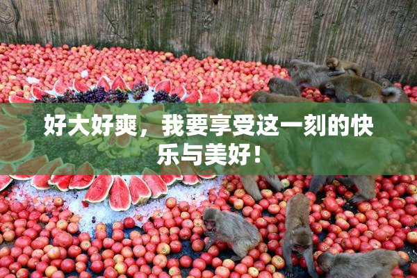 好大好爽，我要享受这一刻的快乐与美好！