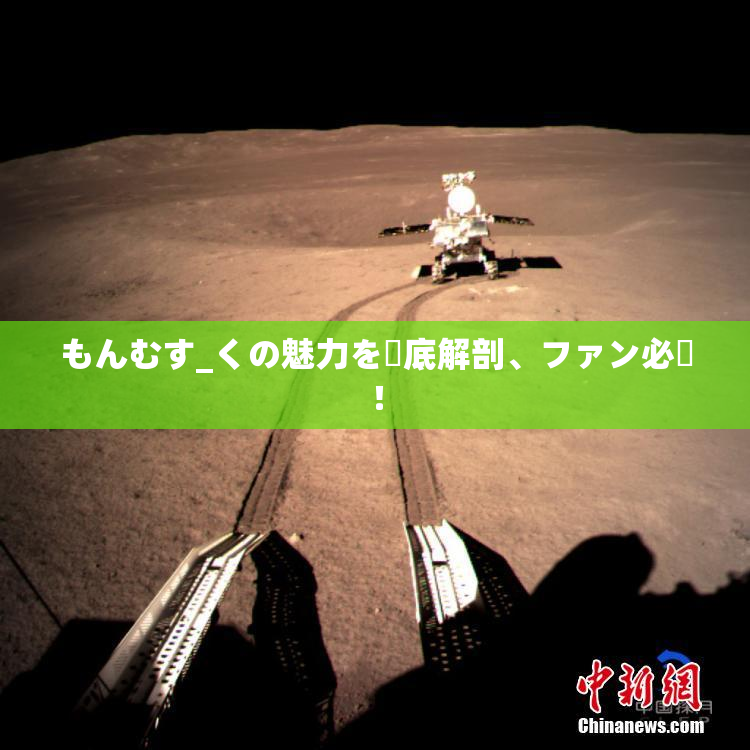 もんむす_くの魅力を徹底解剖、ファン必見！
