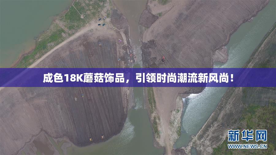 成色18K蘑菇饰品，引领时尚潮流新风尚！
