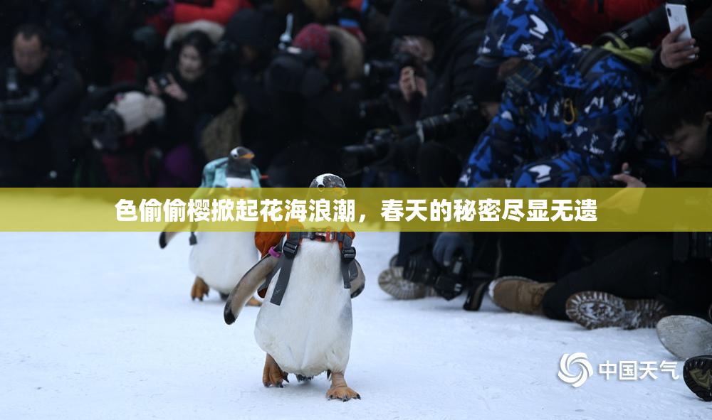 色偷偷樱掀起花海浪潮，春天的秘密尽显无遗