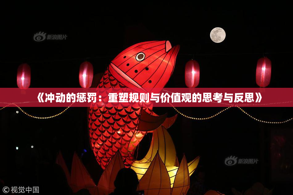 《冲动的惩罚：重塑规则与价值观的思考与反思》