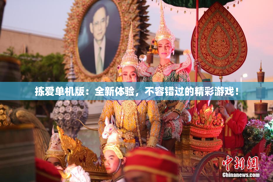 拣爱单机版：全新体验，不容错过的精彩游戏！