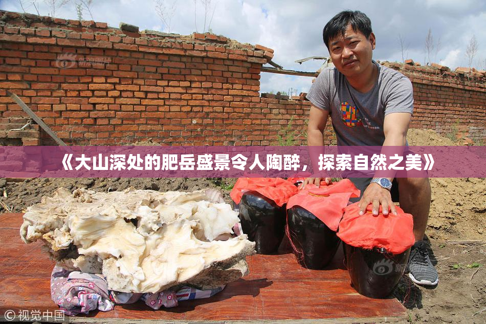《大山深处的肥岳盛景令人陶醉，探索自然之美》