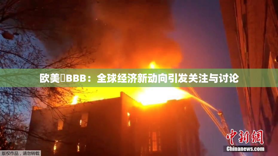欧美槡BBB：全球经济新动向引发关注与讨论