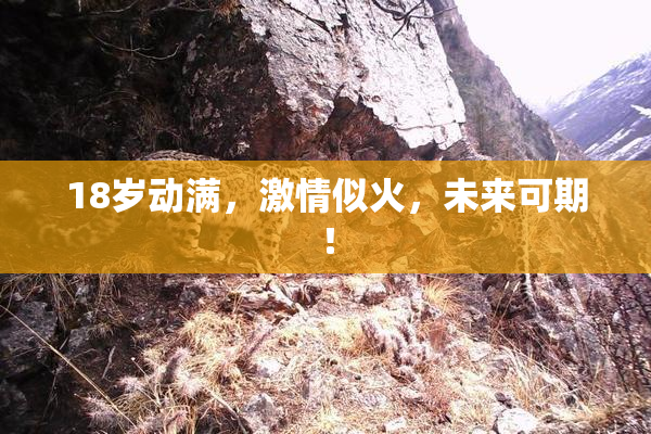 18岁动满，激情似火，未来可期！