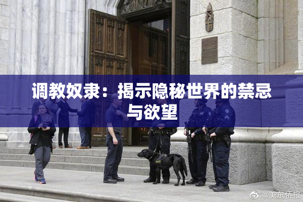 调教奴隶：揭示隐秘世界的禁忌与欲望