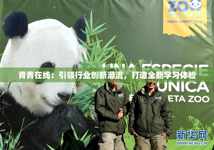 青青在线：引领行业创新潮流，打造全新学习体验