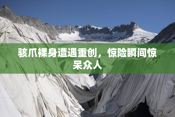 骇爪裸身遭遇重创，惊险瞬间惊呆众人