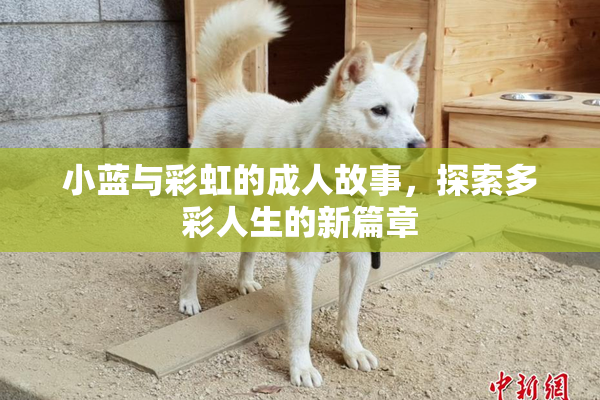 小蓝与彩虹的成人故事，探索多彩人生的新篇章