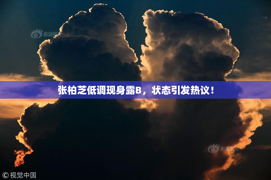 张柏芝低调现身露B，状态引发热议！