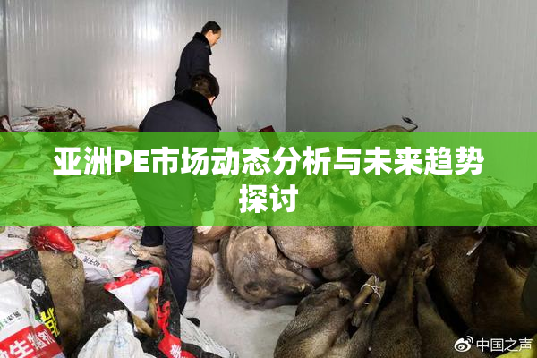 亚洲PE市场动态分析与未来趋势探讨