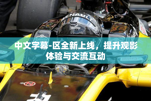 中文字幕-区全新上线，提升观影体验与交流互动