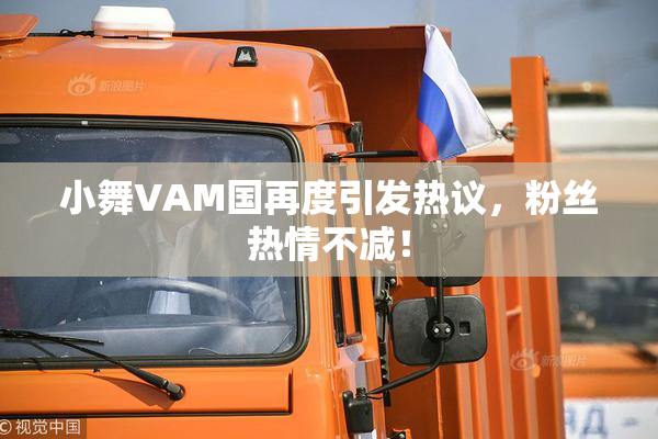 小舞VAM国再度引发热议，粉丝热情不减！