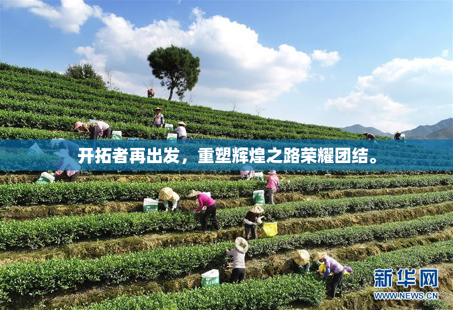 开拓者再出发，重塑辉煌之路荣耀团结。