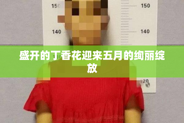 盛开的丁香花迎来五月的绚丽绽放