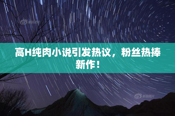 高H纯肉小说引发热议，粉丝热捧新作！