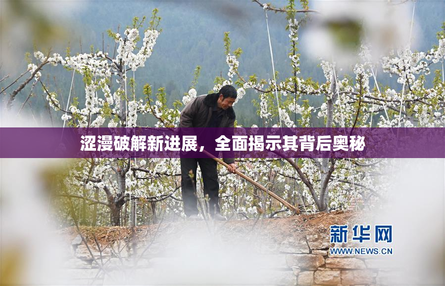 涩漫破解新进展，全面揭示其背后奥秘