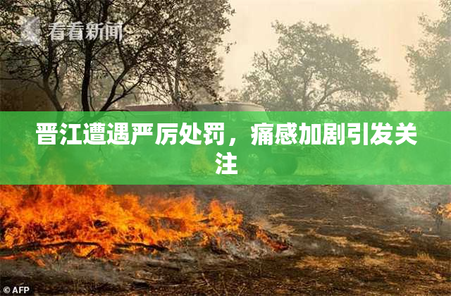 晋江遭遇严厉处罚，痛感加剧引发关注