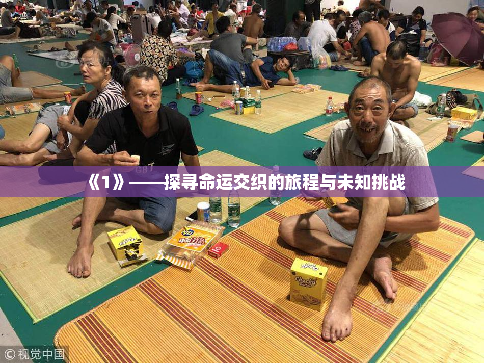 《1》——探寻命运交织的旅程与未知挑战
